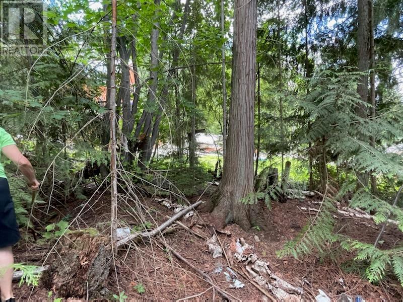 Lot107 Crowfoot Drive, Anglemont, British Columbia  V0E 1M8 - Photo 2 - 10279904