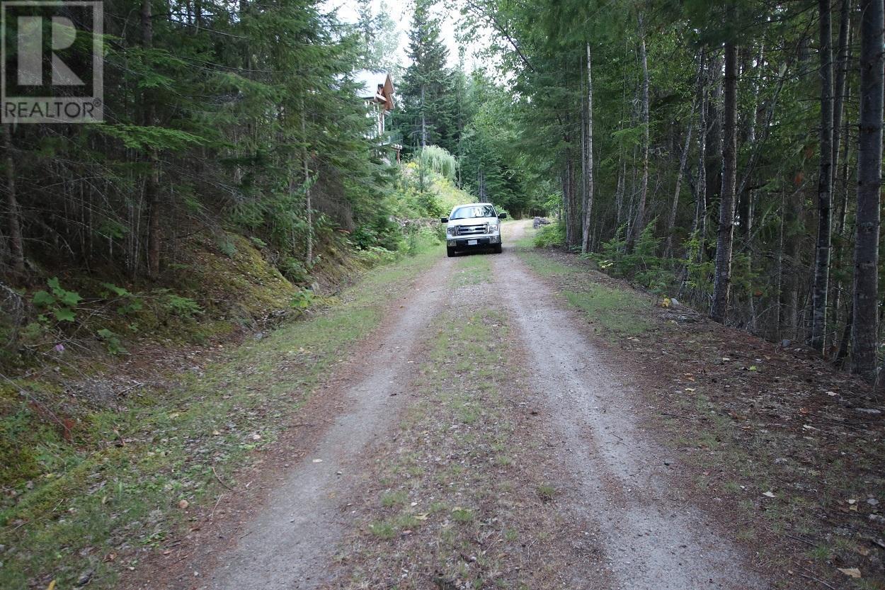 5621 23 Highway, Nakusp, British Columbia  V0G 1R1 - Photo 11 - 2472858