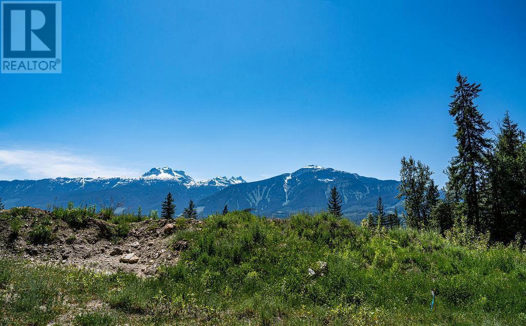 9 Proposed Lot #9 150 Townley Street, Revelstoke, British Columbia  V0E 2S0 - Photo 3 - 10285945