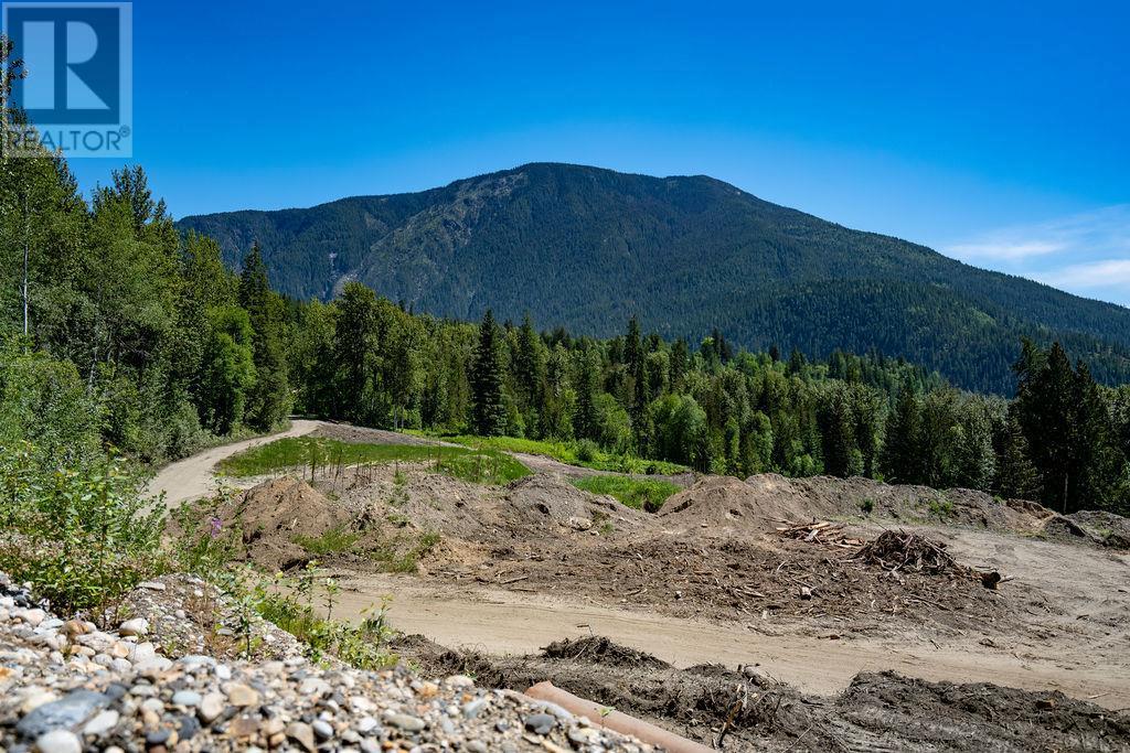 9 Proposed Lot #9 150 Townley Street, Revelstoke, British Columbia  V0E 2S0 - Photo 4 - 10285945