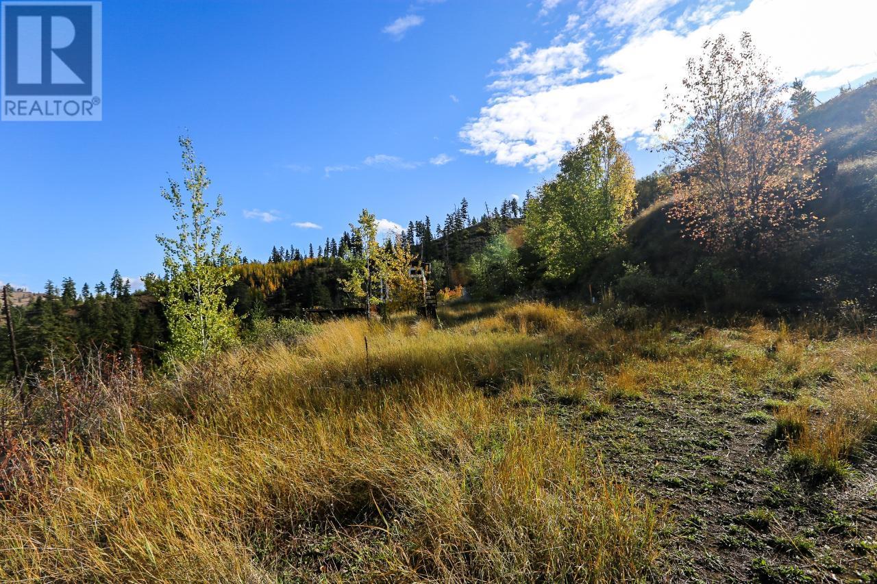 481 Clough Road, Barriere, British Columbia  V0E 2H0 - Photo 2 - 175087