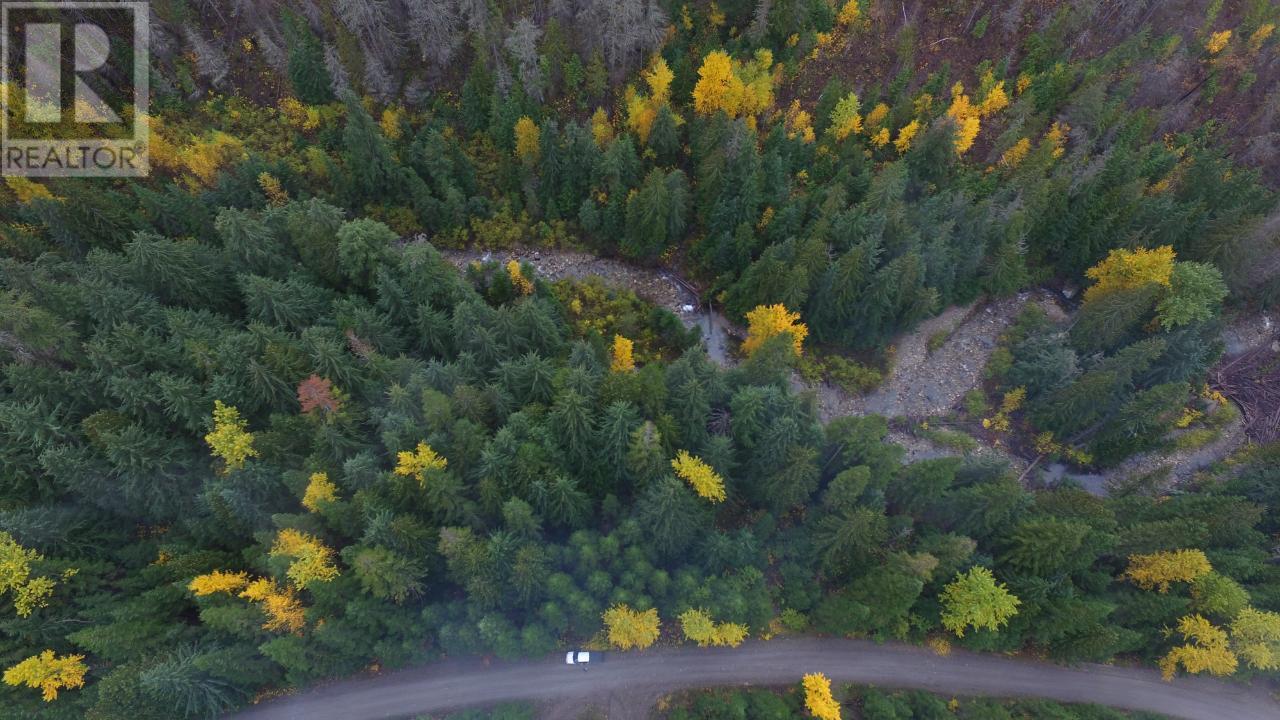 Dl 10004 Sheep Creek Road, Salmo, British Columbia  V0G 1Z0 - Photo 2 - 2473625