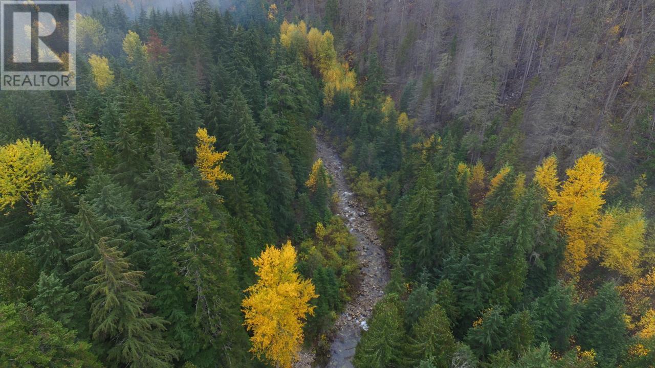 Dl 10004 Sheep Creek Road, Salmo, British Columbia  V0G 1Z0 - Photo 6 - 2473625