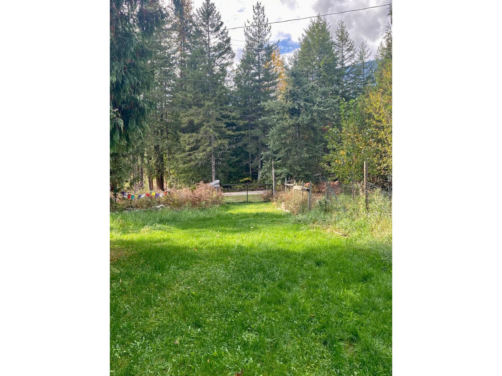 507 Arlington Road, Slocan, British Columbia  V0G 2C0 - Photo 35 - 2473811