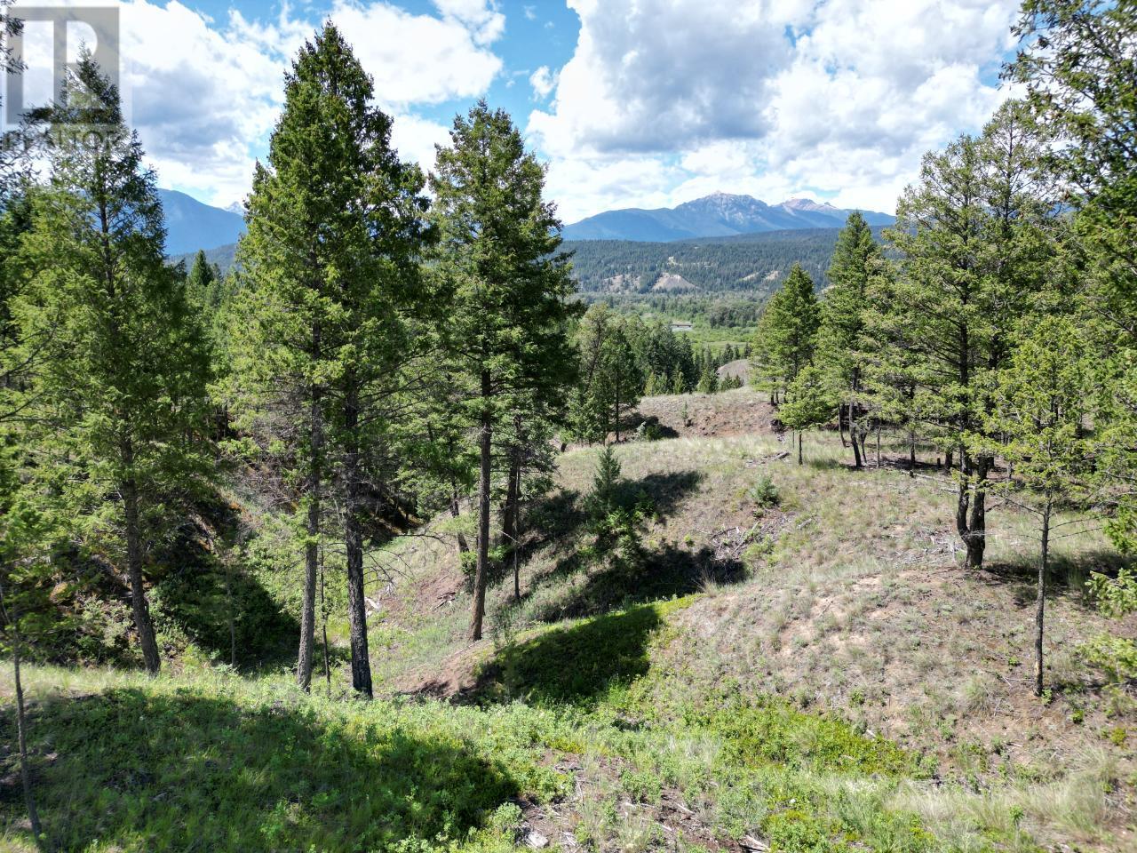 Lot 14 Saddlewood Lane, Radium Hot Springs, British Columbia  V0A 1M0 - Photo 2 - 2473865