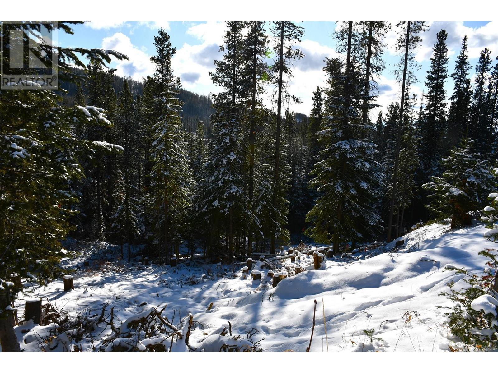 Lot 123 Wapiti Creek Road Lot# 123, Oliver, British Columbia  V0H 1T9 - Photo 13 - 10287766