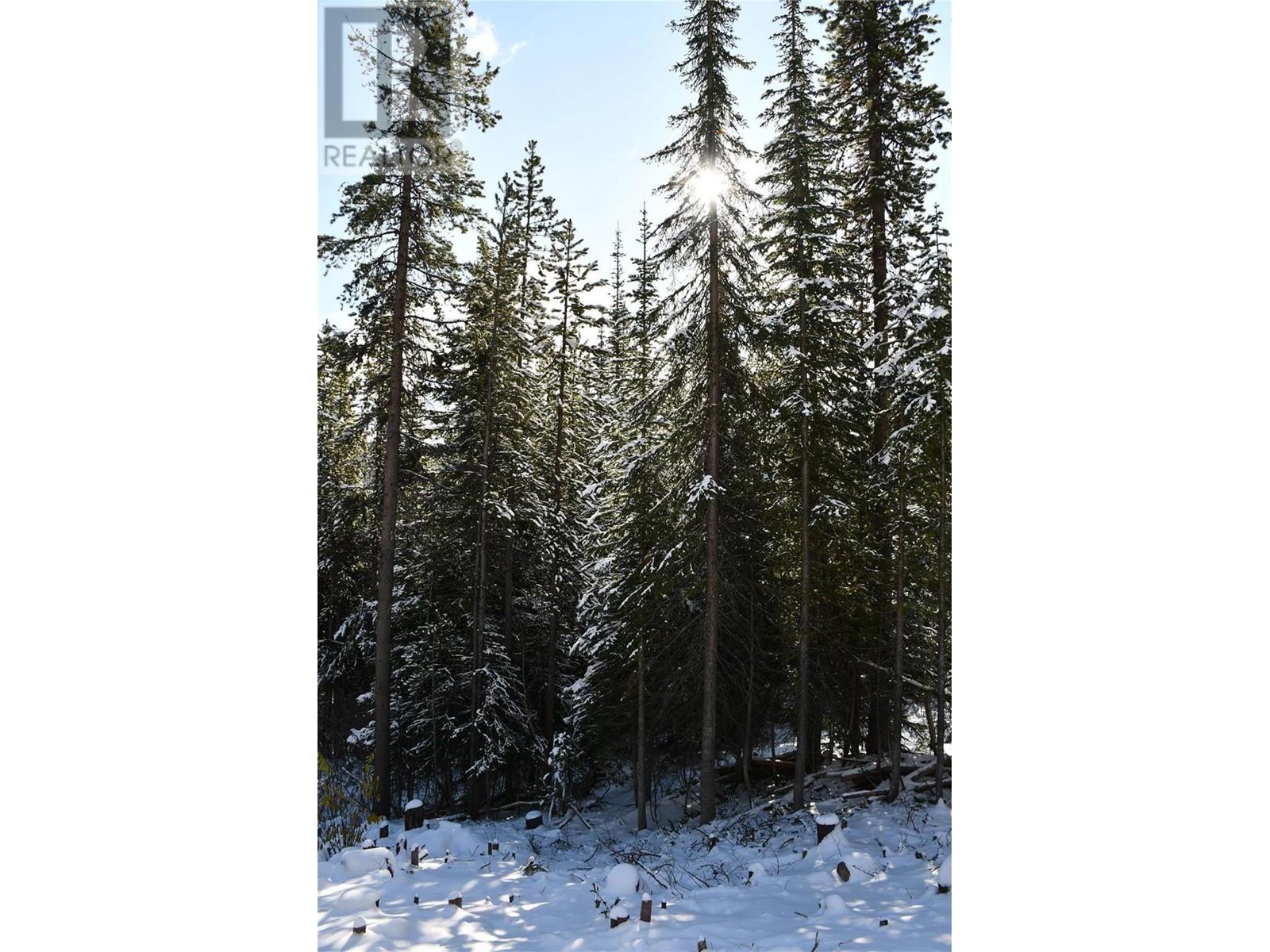 Lot 123 Wapiti Creek Road Lot# 123, Oliver, British Columbia  V0H 1T9 - Photo 7 - 10287766