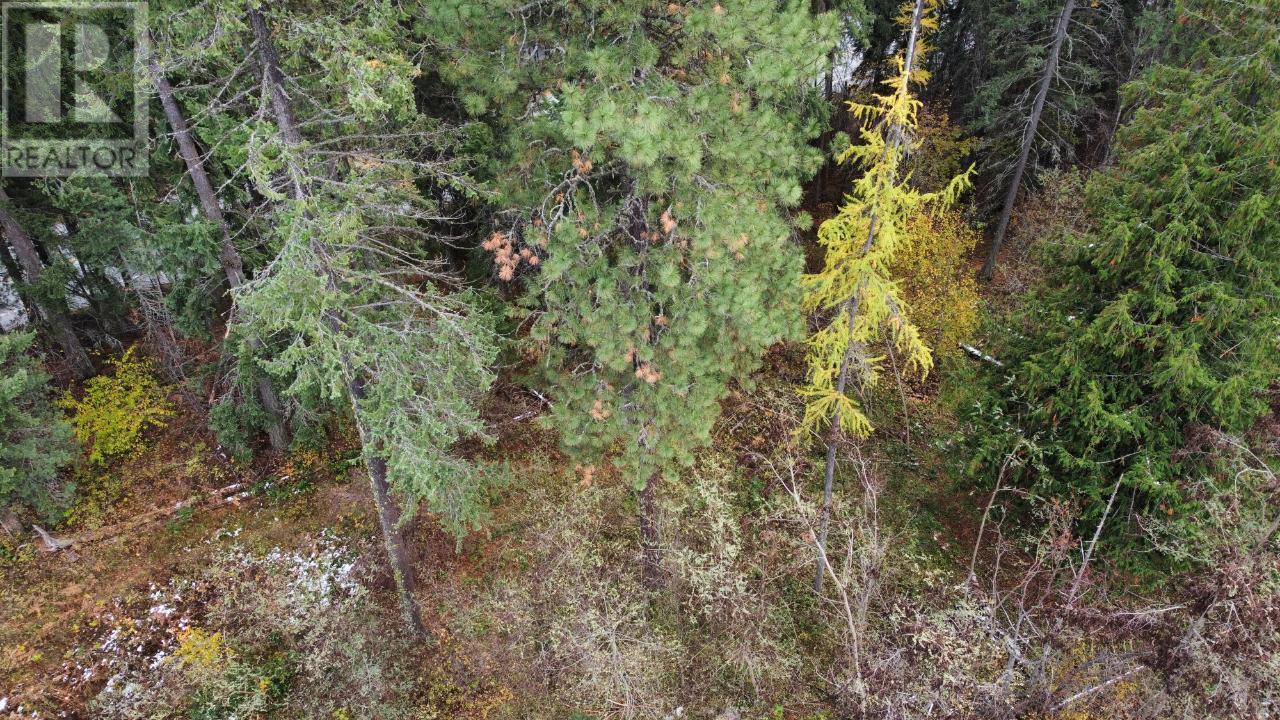 Lot L View Ridge Road, Nelson, British Columbia  V0G 2G0 - Photo 10 - 2473882