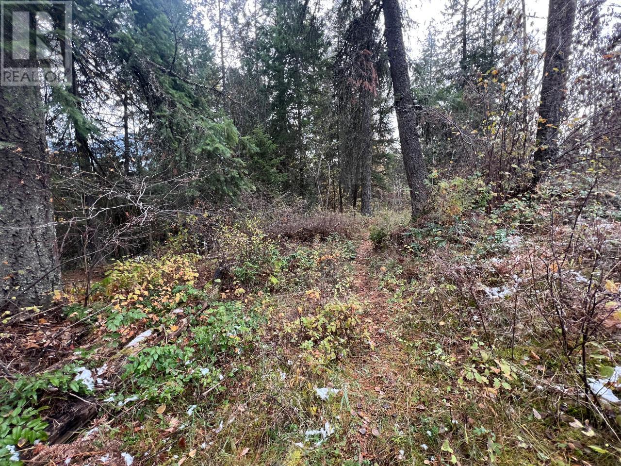 Lot L View Ridge Road, Nelson, British Columbia  V0G 2G0 - Photo 20 - 2473882