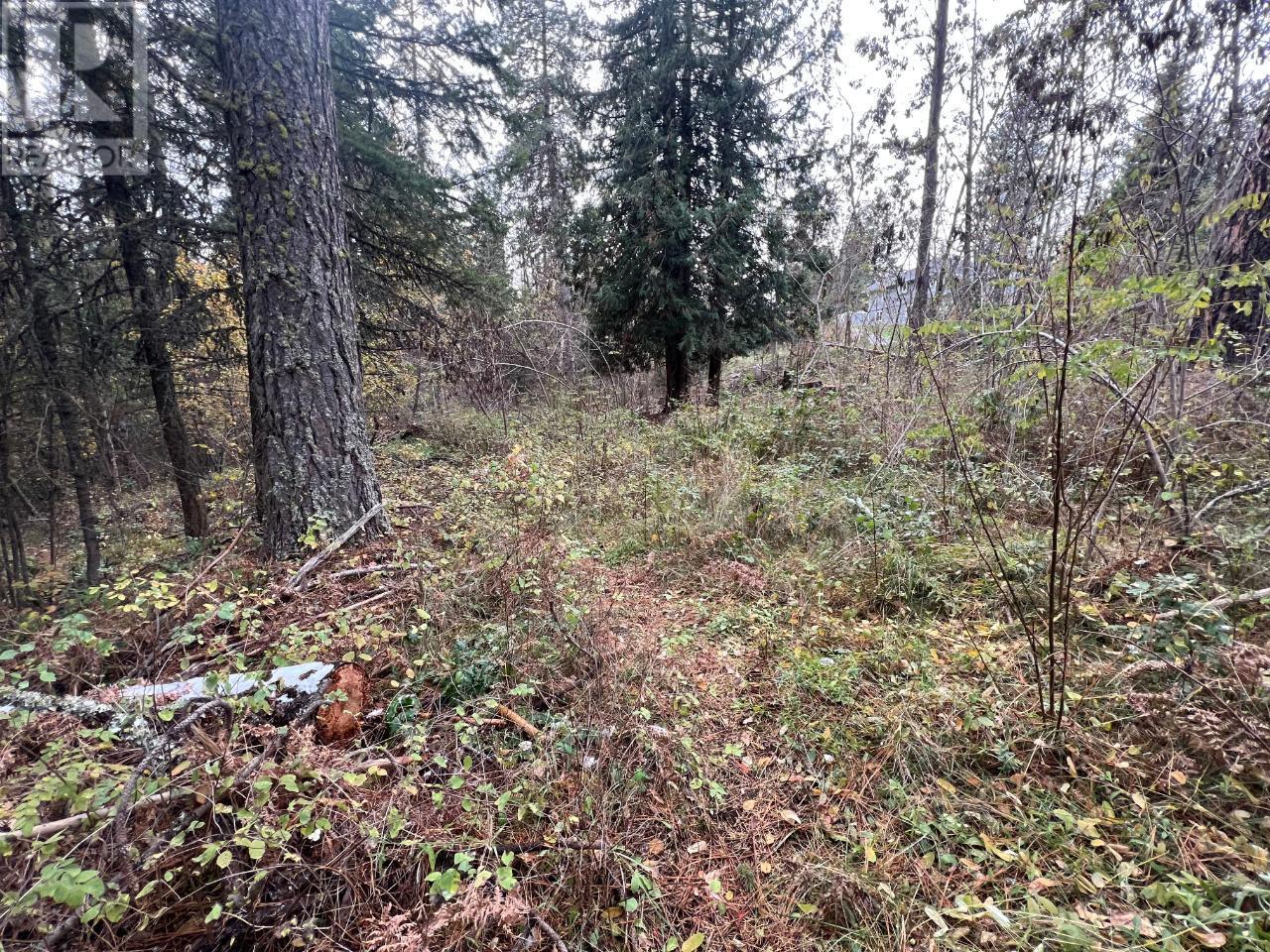 Lot L View Ridge Road, Nelson, British Columbia  V0G 2G0 - Photo 22 - 2473882