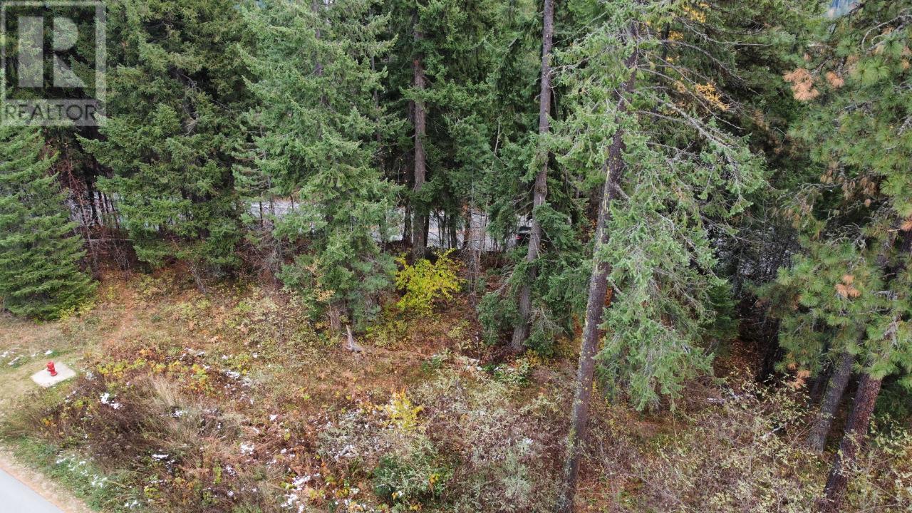 Lot L View Ridge Road, Nelson, British Columbia  V0G 2G0 - Photo 8 - 2473882