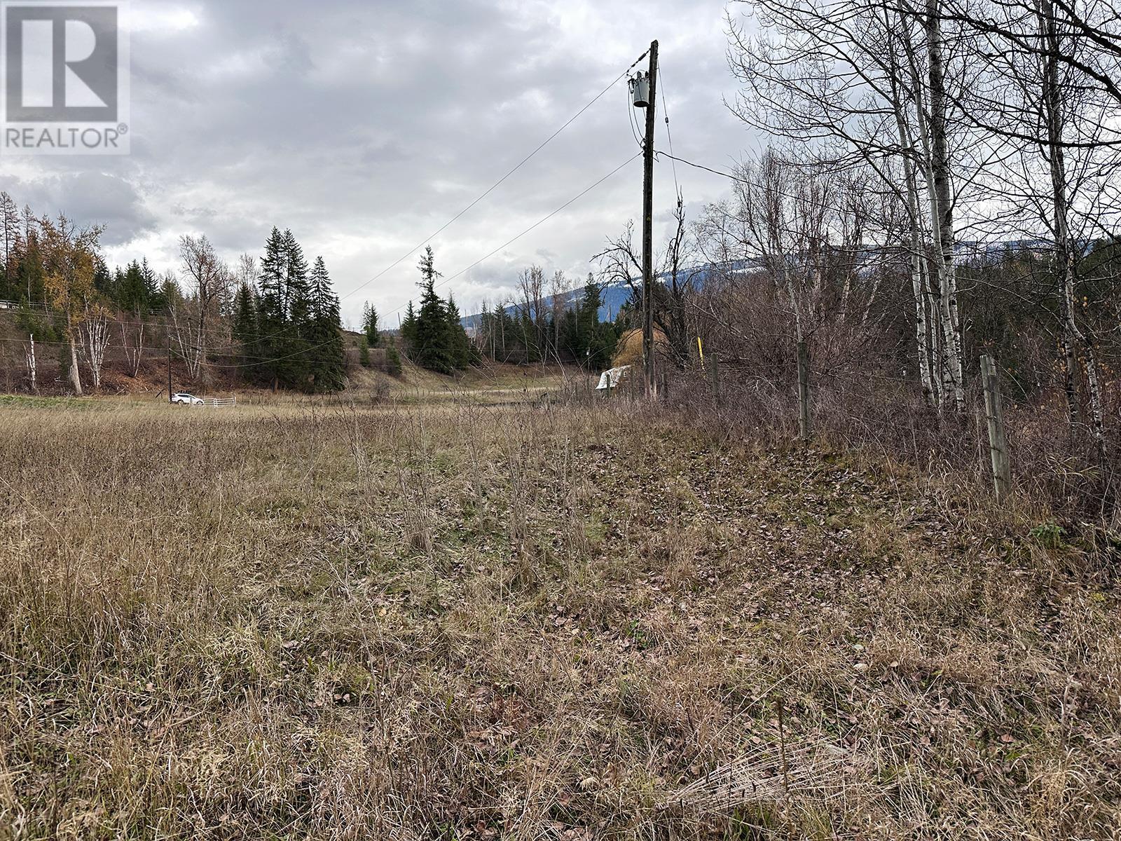 530 North Fork Road, Cherryville, British Columbia  V0E 2G0 - Photo 45 - 10288213