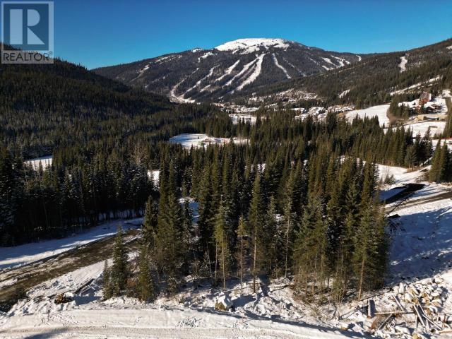 Lot 12 Mcgillivray Lake Drive, Sun Peaks, British Columbia  V0E 5N0 - Photo 10 - 176123