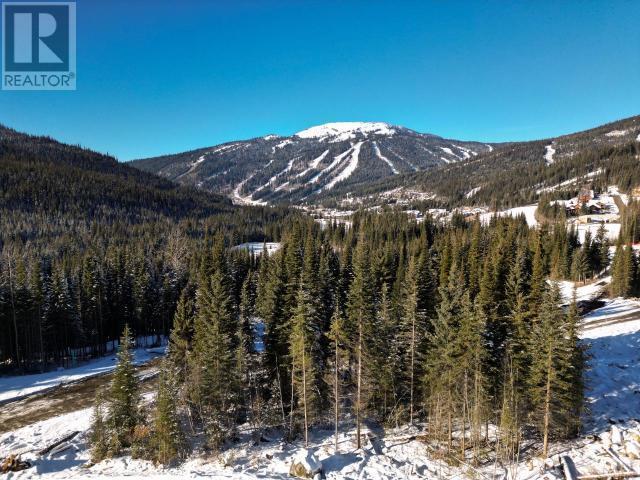 Lot 1 Mcgillivray Lake Drive, Sun Peaks, British Columbia  V0E 5N0 - Photo 13 - 176119