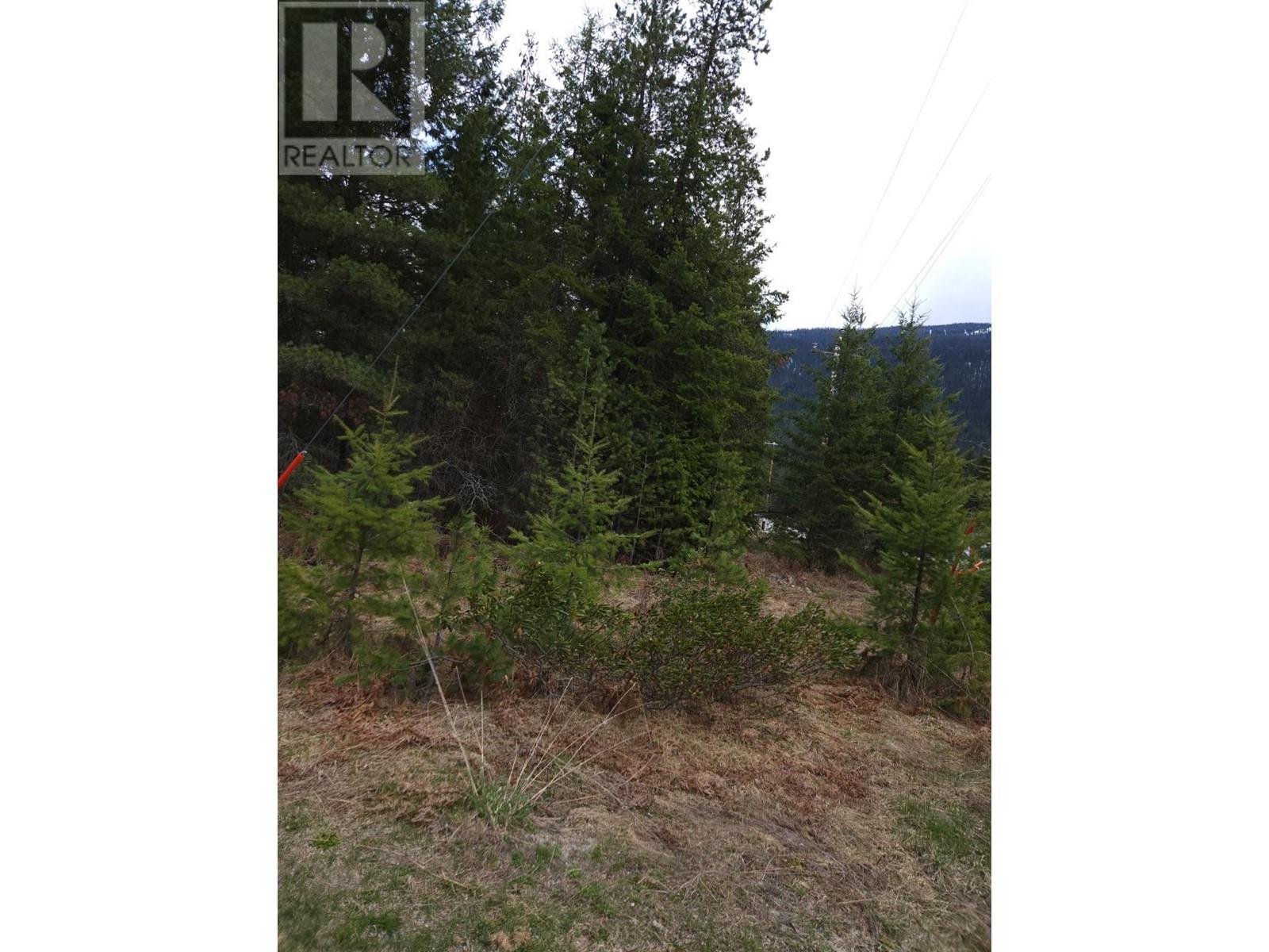 Lots 8-10 Hume Street, Slocan, British Columbia  V0G 2C0 - Photo 3 - 2474492