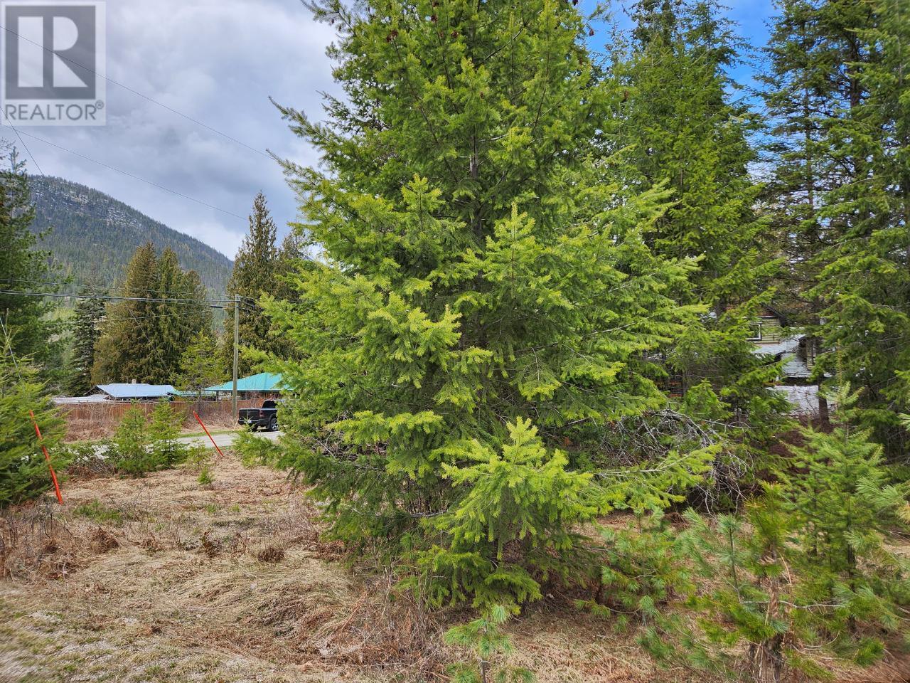 Lots 8-10 Hume Street, Slocan, British Columbia  V0G 2C0 - Photo 8 - 2474492