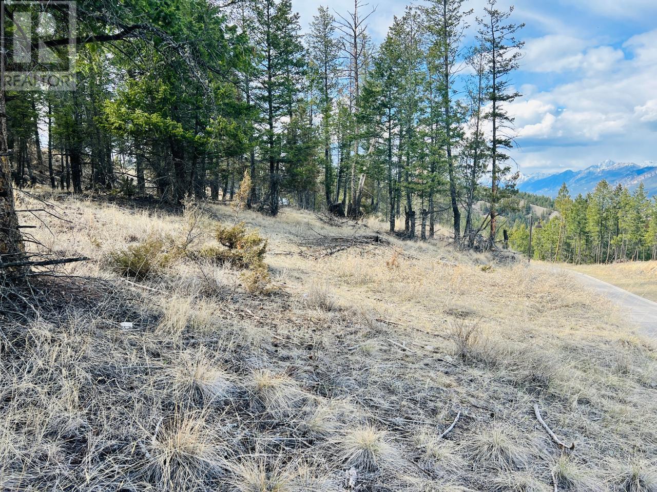 Lot 48 Pine Ridge Mountain Lane, Invermere, British Columbia  V0A 1K4 - Photo 10 - 2474529