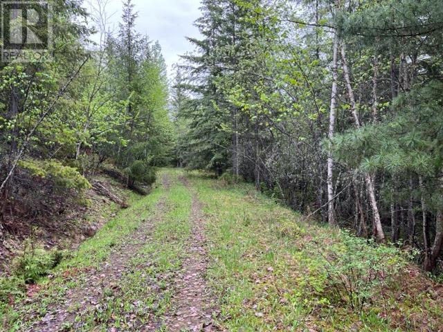 Lot 2 Bischoff Road, Magna Bay, British Columbia  V0E 1M7 - Photo 2 - 10302237