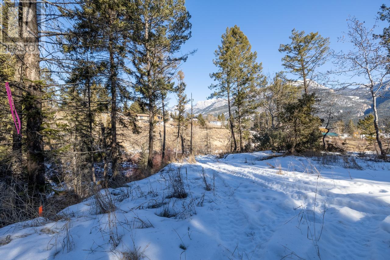 Lot 1 Columere Road, Fairmont Hot Springs, British Columbia  V0B 1L2 - Photo 10 - 2474647