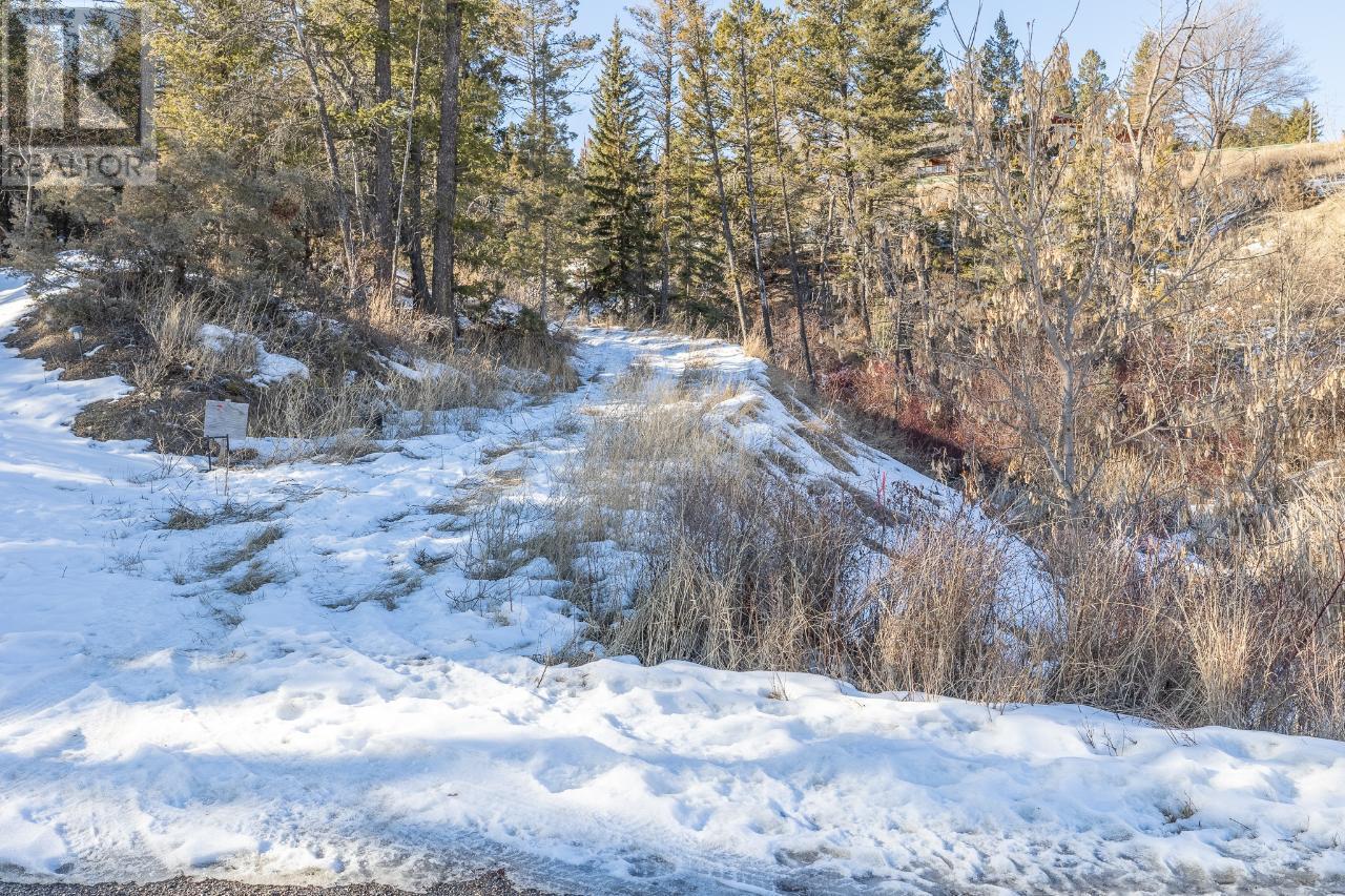 Lot 1 Columere Road, Fairmont Hot Springs, British Columbia  V0B 1L2 - Photo 14 - 2474647