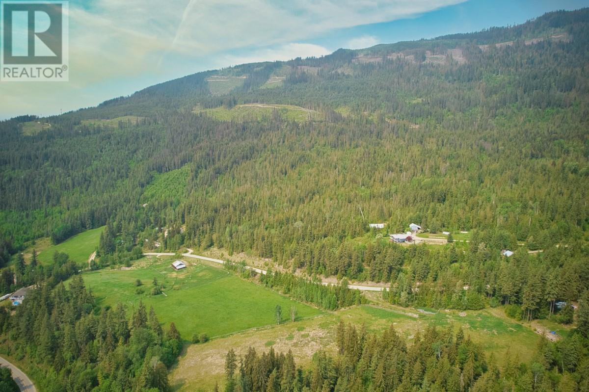 2495 Samuelson Road, Sicamous, British Columbia  V0E 2V5 - Photo 33 - 10302983