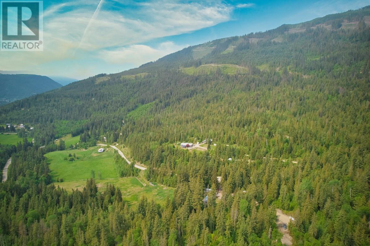 2495 Samuelson Road, Sicamous, British Columbia  V0E 2V5 - Photo 34 - 10302983