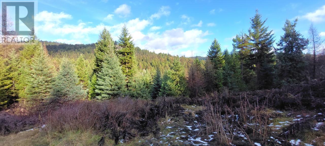 Lot 1213s Ingram Creek Forest Service Road, Rock Creek, British Columbia  V0H 1Y0 - Photo 2 - 2474703