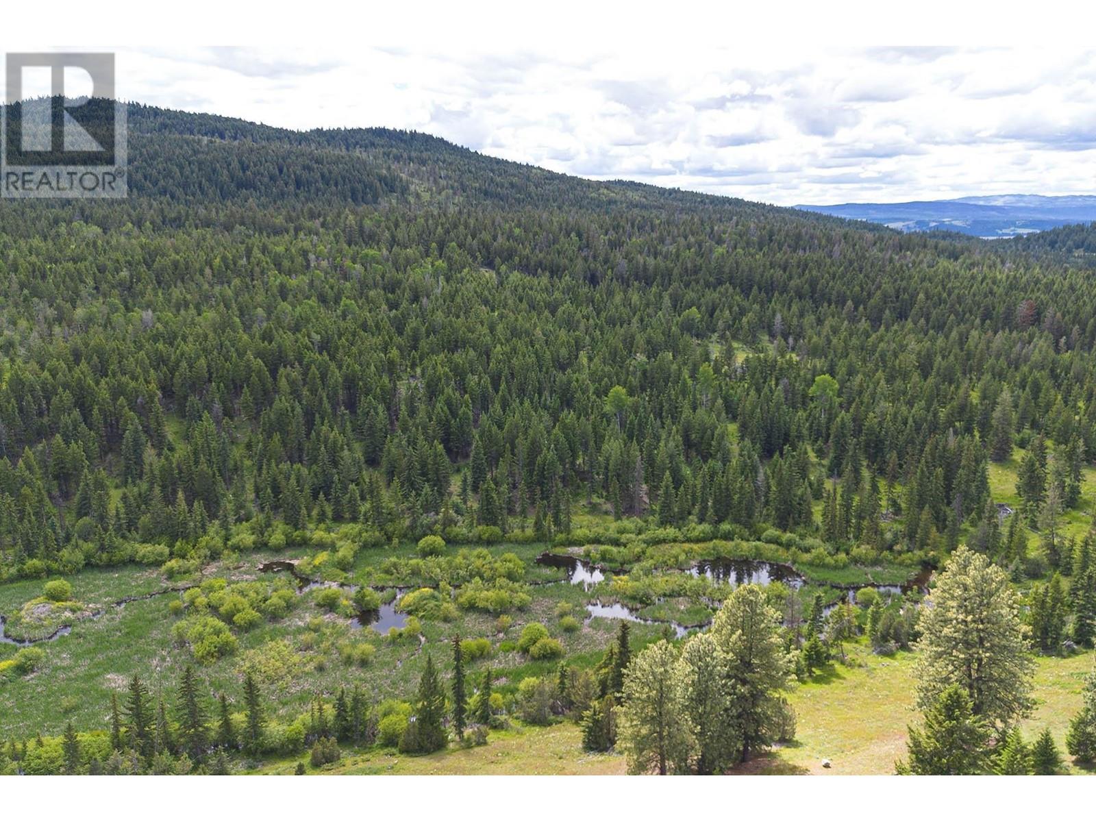 Legal Scuitto Lake, Kamloops, British Columbia  V2H 1T7 - Photo 22 - 176532