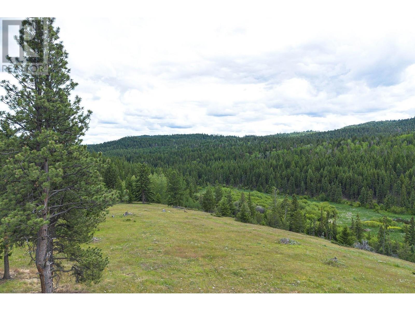 Legal Scuitto Lake, Kamloops, British Columbia  V2H 1T7 - Photo 26 - 176532