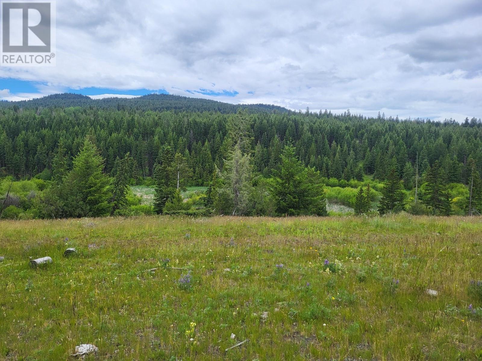 Legal Scuitto Lake, Kamloops, British Columbia  V2H 1T7 - Photo 49 - 176532