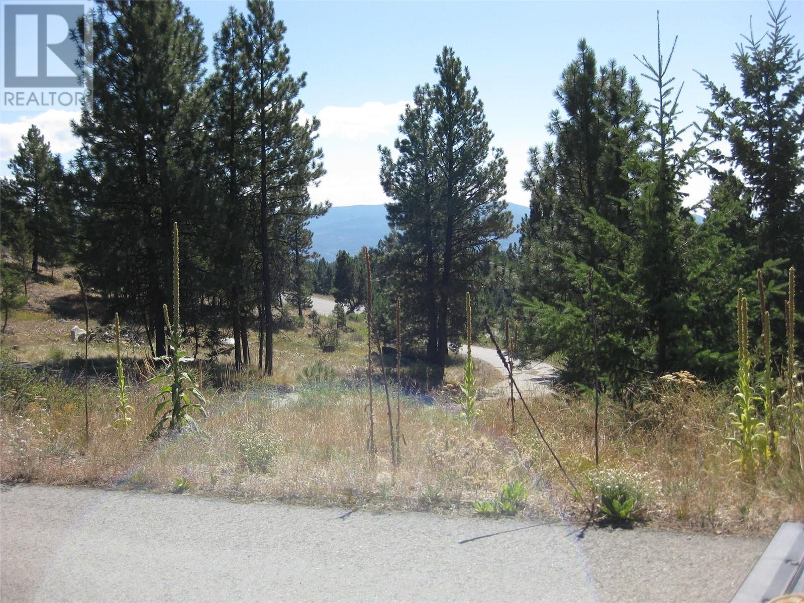 405 Sasquatch Trail N Unit# Lot 37 Lot# Lot 37, Osoyoos, British Columbia  V0H 1V6 - Photo 5 - 10303381