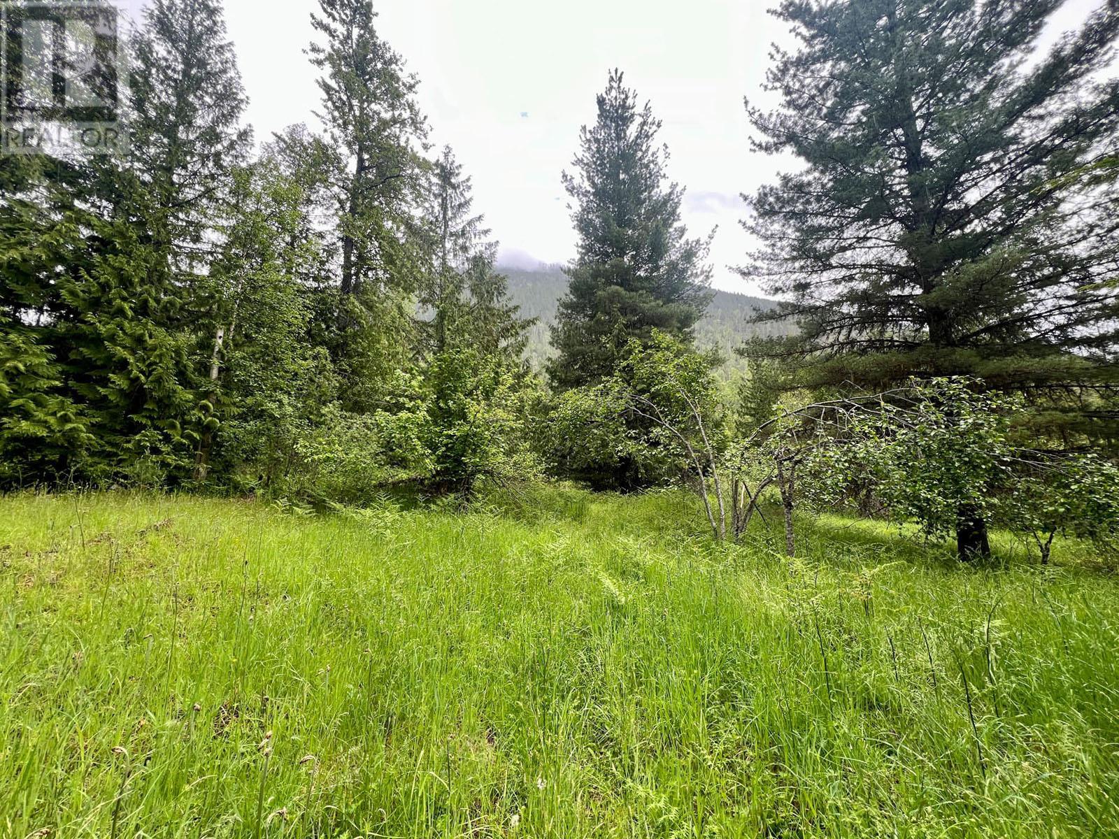 Lot 3 Hedstrom Road, Crawford Bay, British Columbia  V0B 1E0 - Photo 11 - 2475233