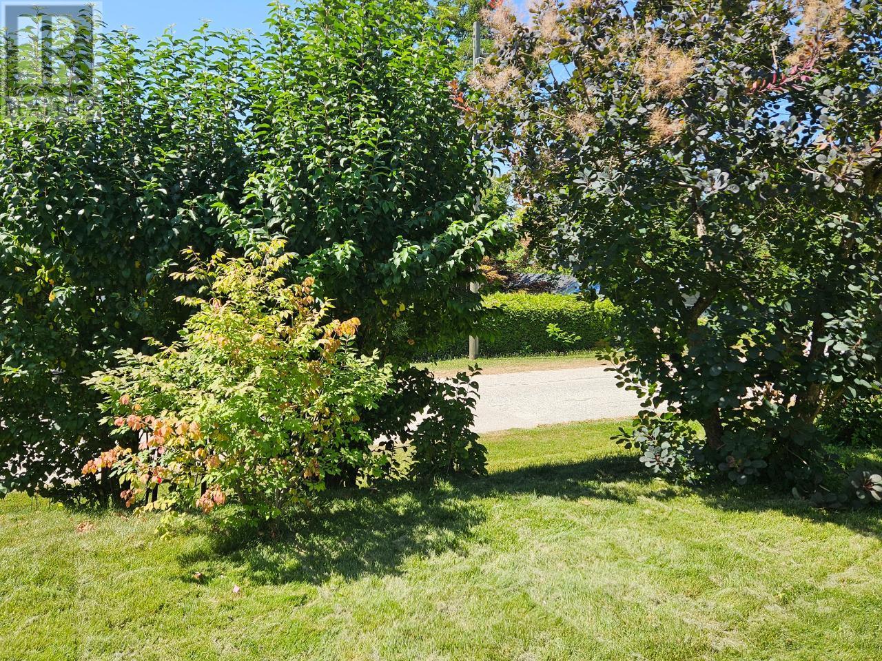 303 Nelson Avenue, Nakusp, British Columbia  V0G 1R0 - Photo 47 - 2475265