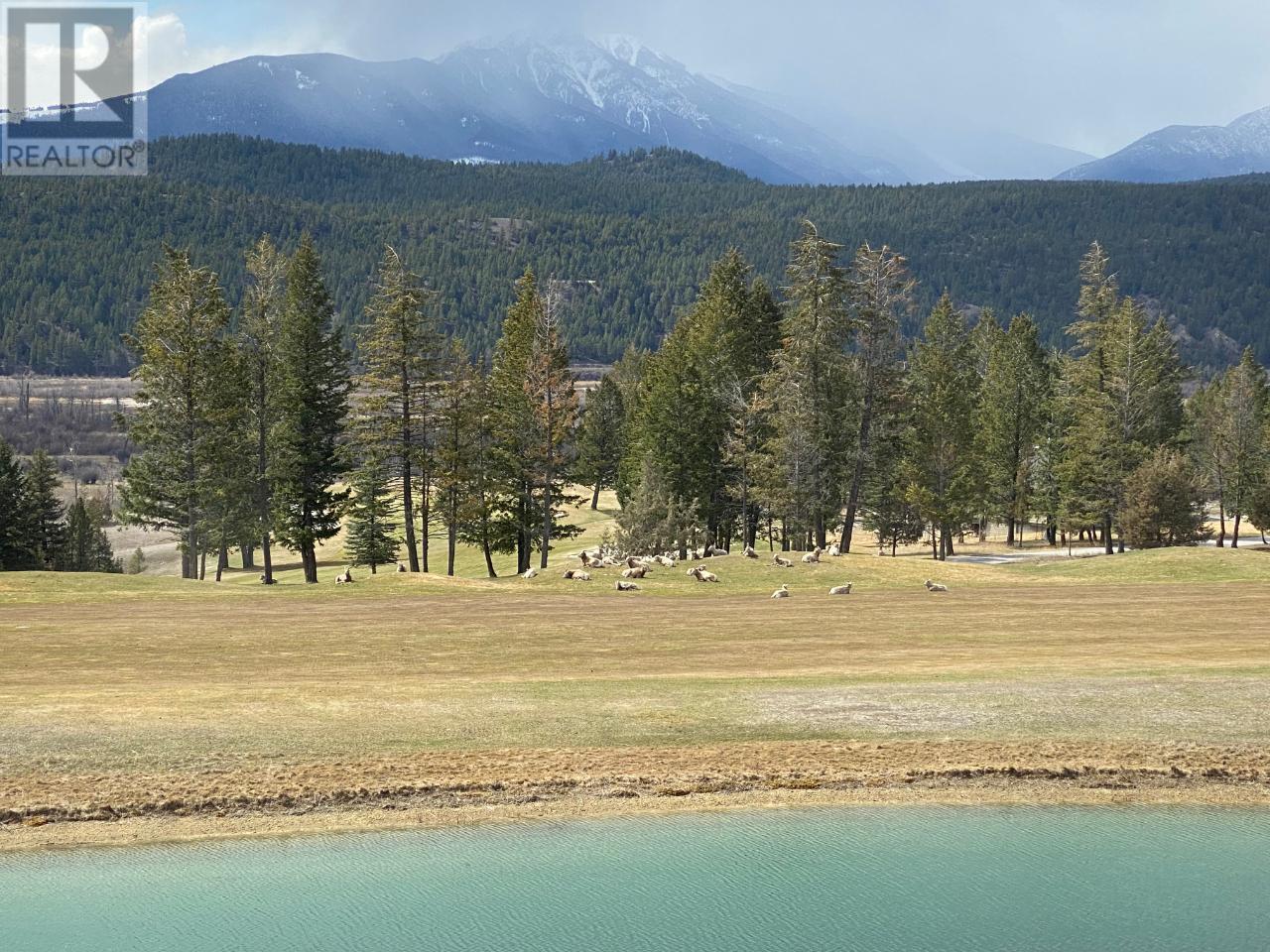 600 Bighorn Boulevard Unit# 633d, Radium Hot Springs, British Columbia  V0A 1M0 - Photo 27 - 2475263