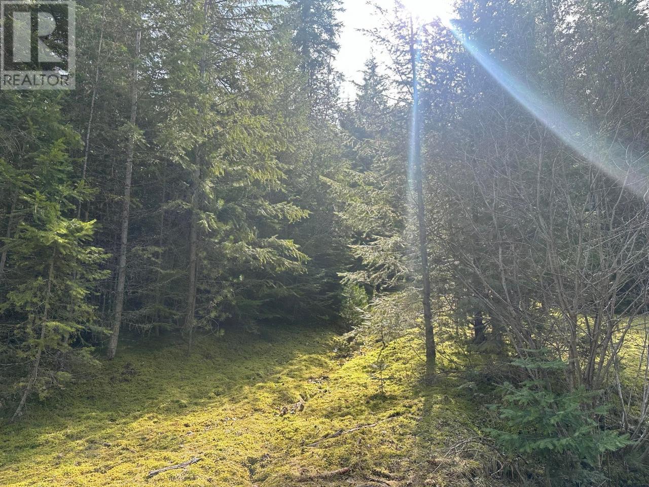 Lot 3 Lasca Creek Road, Harrop, British Columbia  V1L 7B2 - Photo 6 - 2475339