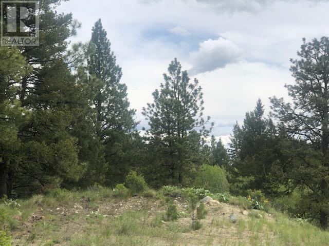 410 Sasquatch Trail Lot# Lot 26, Osoyoos, British Columbia  V0H 1V6 - Photo 1 - 10306438