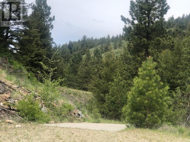 410 Sasquatch Trail Lot# Lot 26, Osoyoos, British Columbia  V0H 1V6 - Photo 4 - 10306438