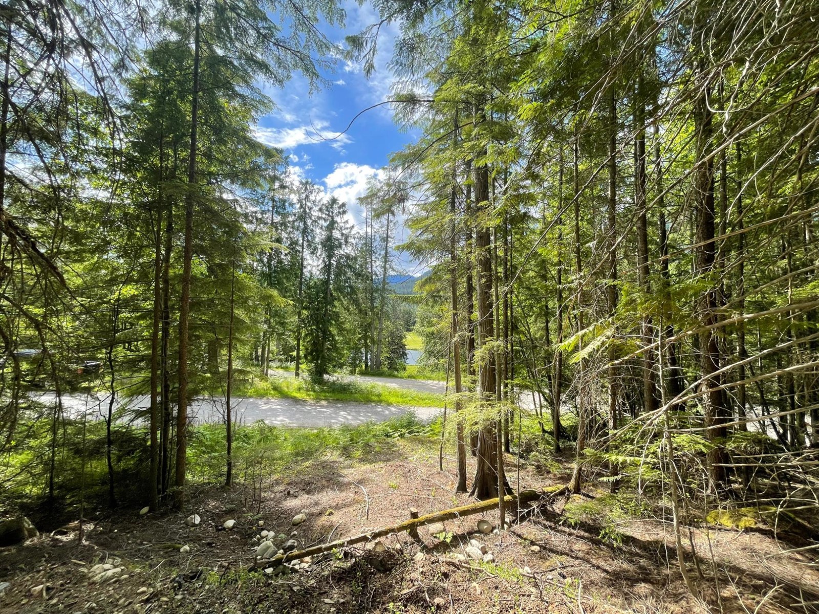 Lot 2 Selkirk Road, Crawford Bay, British Columbia  V0B 1B0 - Photo 11 - 2475444