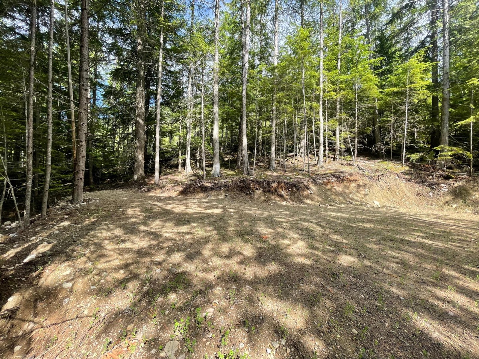 Lot 2 Selkirk Road, Crawford Bay, British Columbia  V0B 1B0 - Photo 12 - 2475444