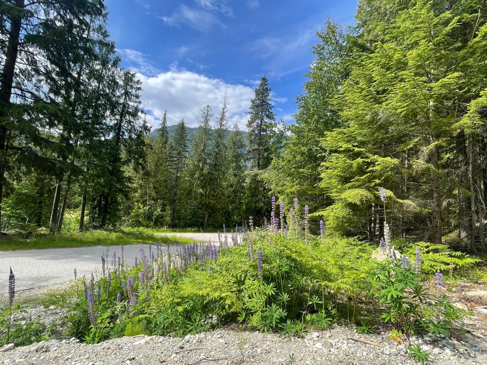 Lot 2 Selkirk Road, Crawford Bay, British Columbia  V0B 1B0 - Photo 4 - 2475444