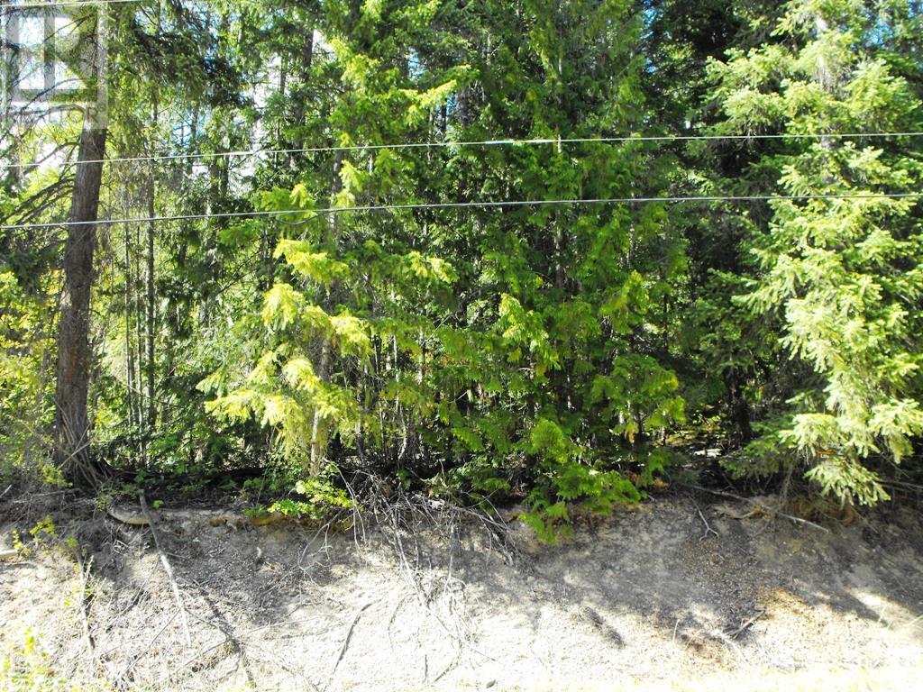 Lot 59 Copper Island Drive, Anglemont, British Columbia  V0E 1M8 - Photo 10 - 10307336