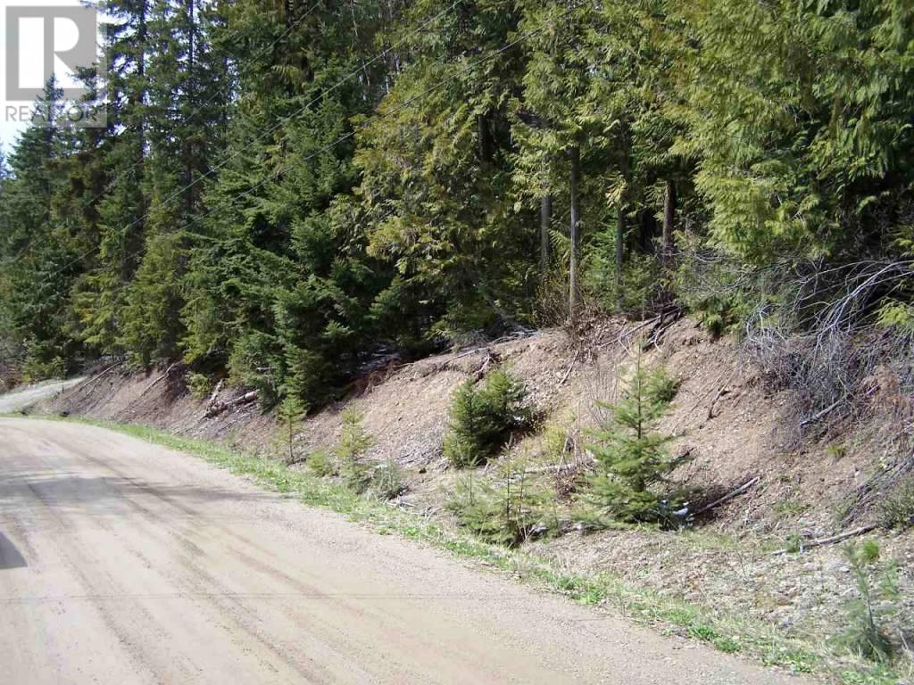 Lot 59 Copper Island Drive, Anglemont, British Columbia  V0E 1M8 - Photo 3 - 10307336