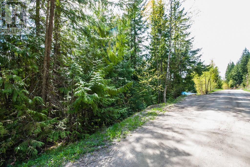 Lot 57 Lonneke Trail, Anglemont, British Columbia  V0E 1M8 - Photo 10 - 10307335