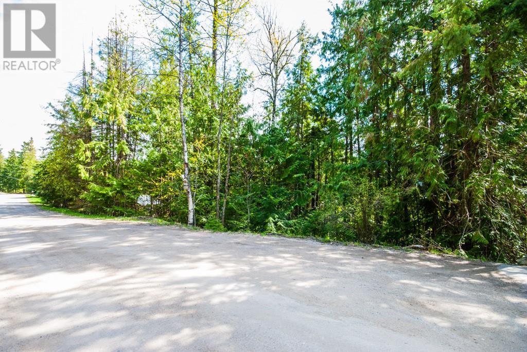 Lot 57 Lonneke Trail, Anglemont, British Columbia  V0E 1M8 - Photo 12 - 10307335