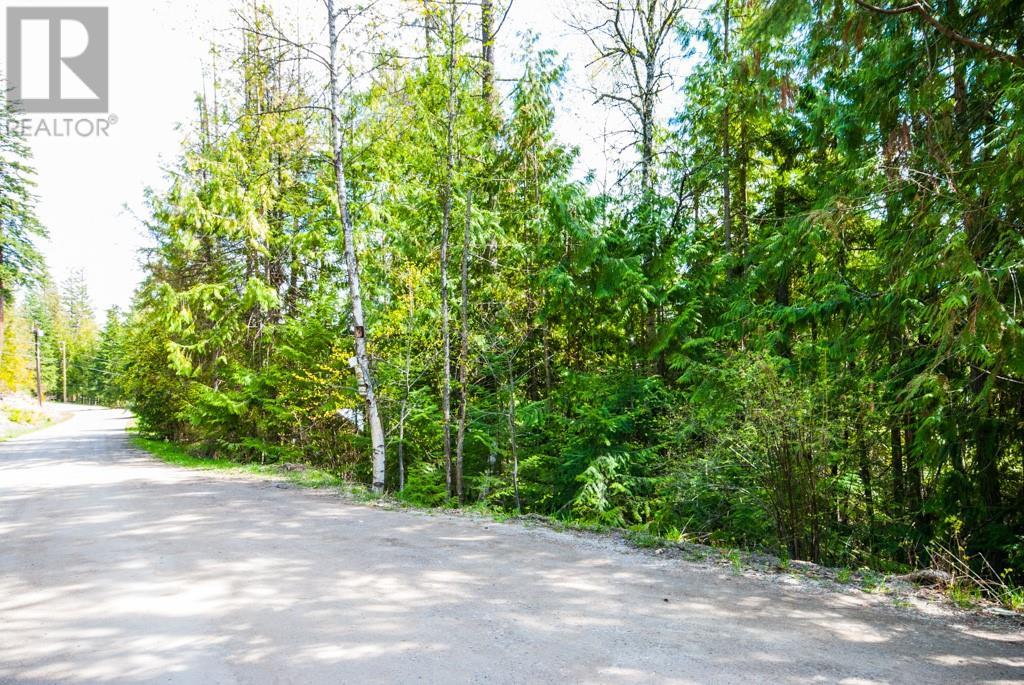 Lot 57 Lonneke Trail, Anglemont, British Columbia  V0E 1M8 - Photo 16 - 10307335