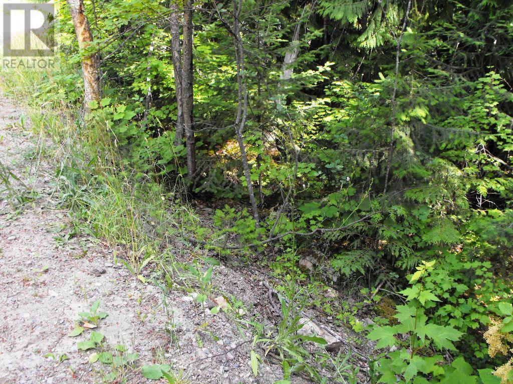 Lot 57 Lonneke Trail, Anglemont, British Columbia  V0E 1M8 - Photo 6 - 10307335