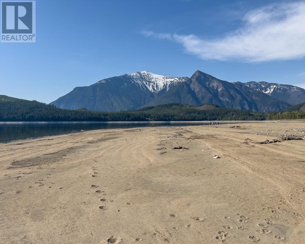 589 Sagacious Road, Nakusp, British Columbia  V0G 1R2 - Photo 13 - 2475556