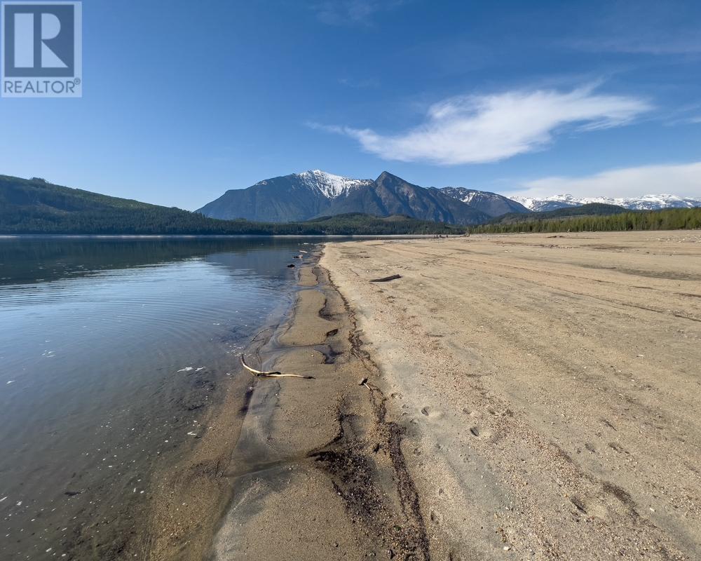 589 Sagacious Road, Nakusp, British Columbia  V0G 1R2 - Photo 14 - 2475556