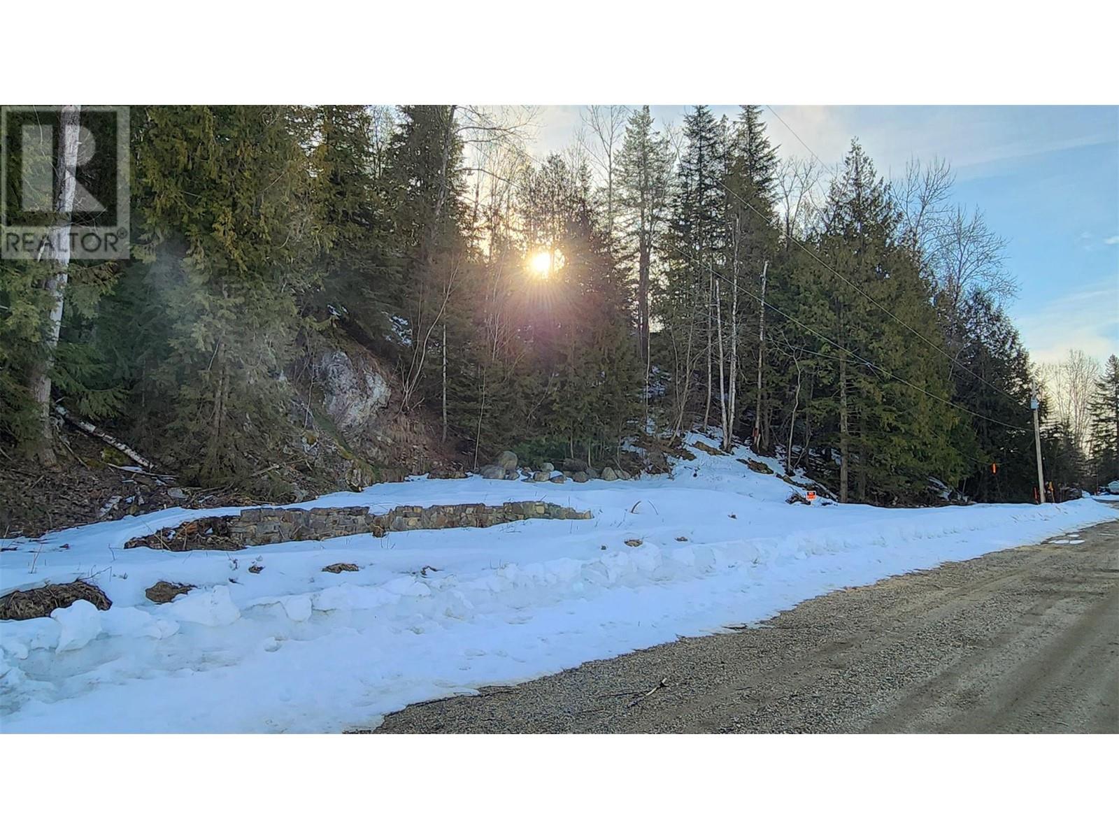 1670 Bend Road, Revelstoke, British Columbia  V0E 2S0 - Photo 3 - 10307850