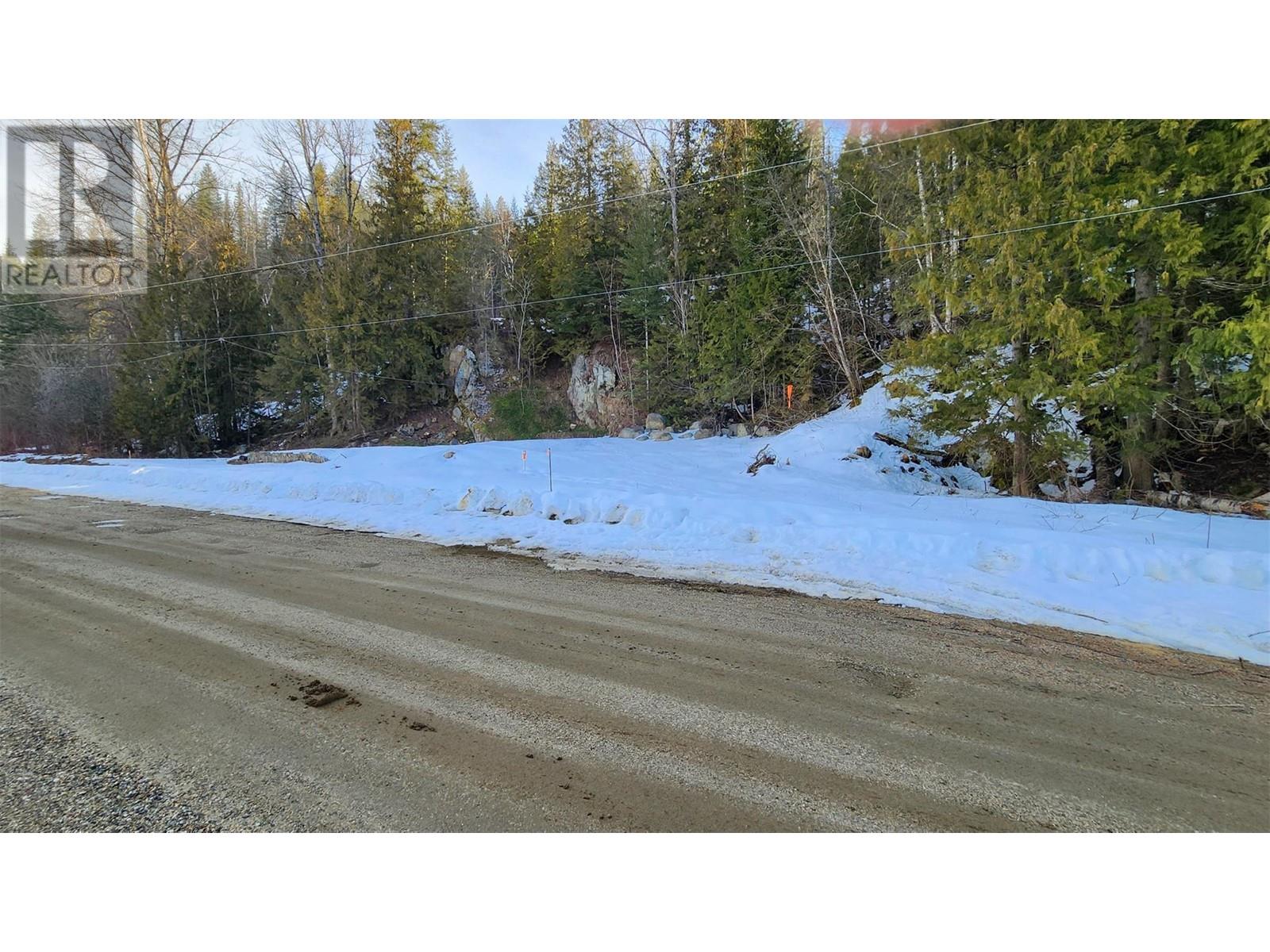 1670 Bend Road, Revelstoke, British Columbia  V0E 2S0 - Photo 4 - 10307850